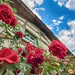 Etno Village Cardaci