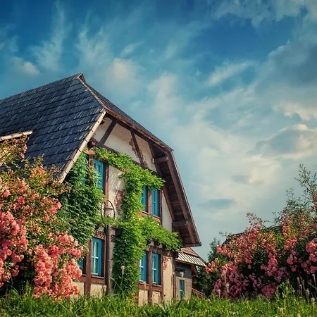 Etno Village Cardaci 4* Vitez