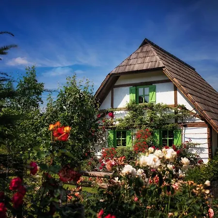 Etno Village Cardaci 4* Vitez