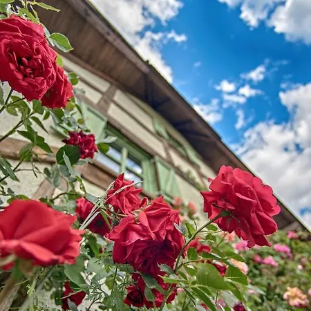 قرية إتنو كارداتشي