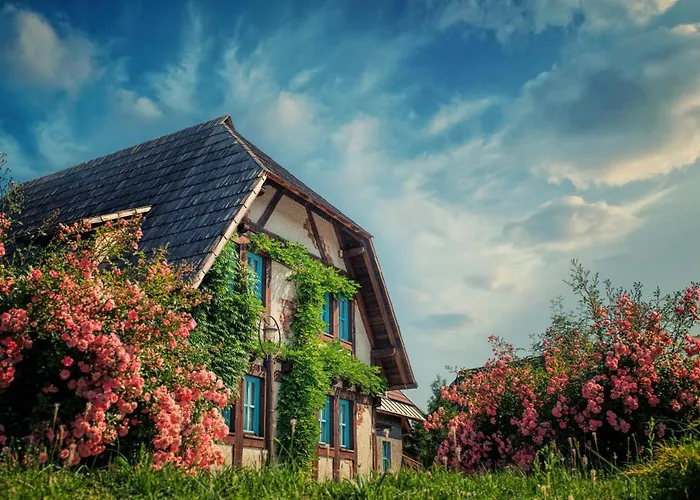 Etno Village Cardaci 4* Vitez