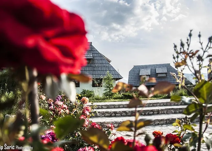 Holiday park Etno Village Cardaci 4*