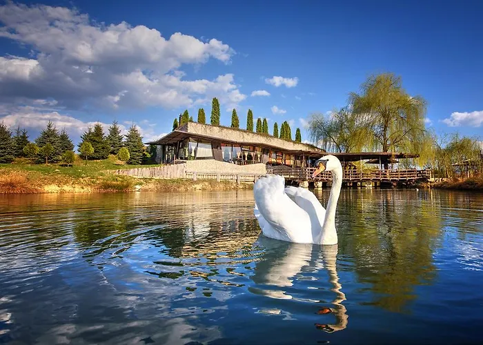 Holiday park Etno Village Cardaci 4*