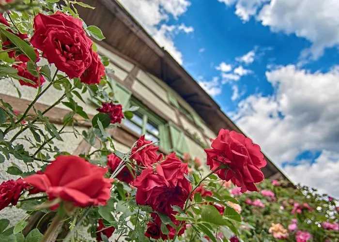 Etno Village Cardaci